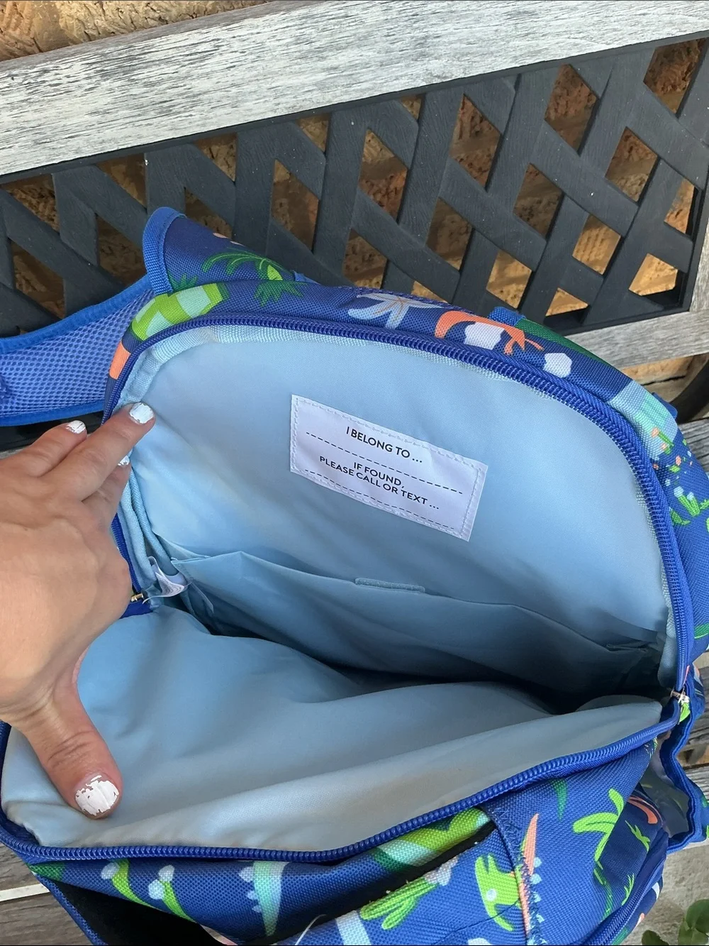 Member’s mark dinosaur backpack